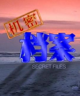 千金傲游记 封面图