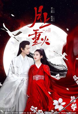 幻影追凶1999 封面图